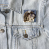 Niedliches Shih-Tzu-Welpe-Button Button (Beispiel)