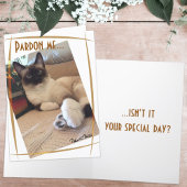 Niedliches Siamese Kitten Nah-up Fotograf Custom Karte