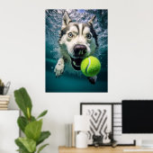 Niedliches Sibirisches Husky Diving Underwater Pos Poster (Heimbüro)
