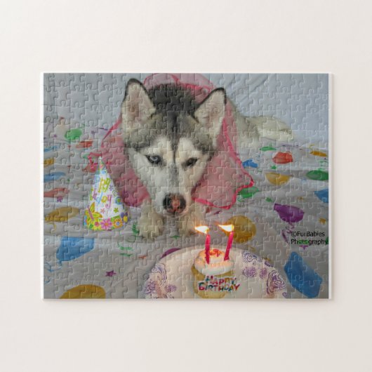 Niedliches sibirisches Husky-Geburtstagsrätsel Puzzle (Horizontal)