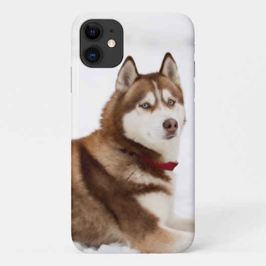 Niedliches Sibirisches Husky-Portrait Case-Mate iPhone Hülle (Rückseite)