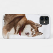 Niedliches Sibirisches Husky-Portrait Case-Mate iPhone Hülle (Rückseite (Horizontal))