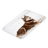 Niedliches Sibirisches Husky-Portrait Magnet (Linke Seite)