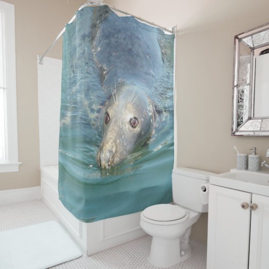 Niedliches Siegel aus Cape Cod Duschvorhang (Beispiel)