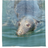 Niedliches Siegel aus Cape Cod Duschvorhang (Vorderseite)