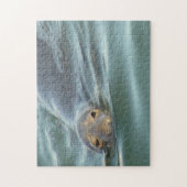 Niedliches Siegel aus Cape Cod Puzzle (Vertikal)