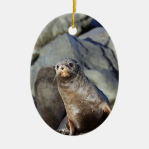 Niedliches Siegel Keramik Ornament