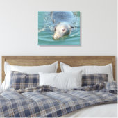 Niedliches Siegel Schwimmen in der Leinwand Cape C (Insitu (Schlafzimmer))