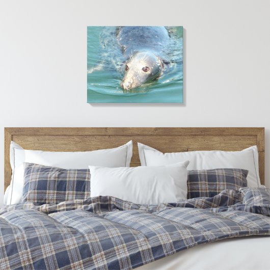 Niedliches Siegel Schwimmen in der Leinwand Cape C (Insitu (Schlafzimmer))