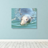 Niedliches Siegel Schwimmen in der Leinwand Cape C (Insitu (Holzboden))