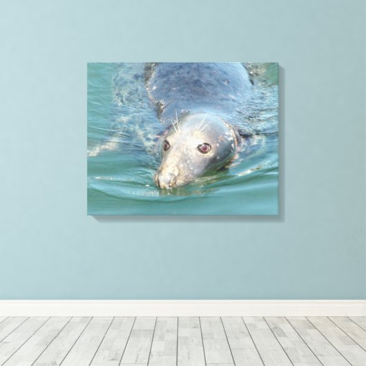 Niedliches Siegel Schwimmen in der Leinwand Cape C (Insitu (Holzboden))