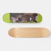 Niedliches Skateboarddeck Yearling Foal (Horizontal)