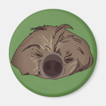 Niedliches Sloth Art Magnet
