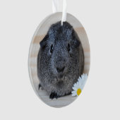 Niedliches Smooth, Silver Agouti Guinea Schwein un Ornament (Vorderseite)