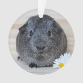 Niedliches Smooth, Silver Agouti Guinea Schwein un Ornament (Vorderseite)