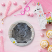 Niedliches Smooth, Silver Agouti Guinea Schwein un Pappteller (Party)