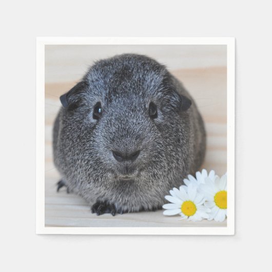 Niedliches Smooth, Silver Agouti Guinea Schwein un Serviette (Vorderseite)