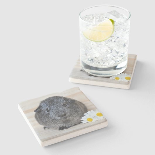 Niedliches Smooth, Silver Agouti Guinea Schwein un Steinuntersetzer (Seitenansicht)