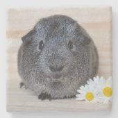 Niedliches Smooth, Silver Agouti Guinea Schwein un Steinuntersetzer (Vorderseite)
