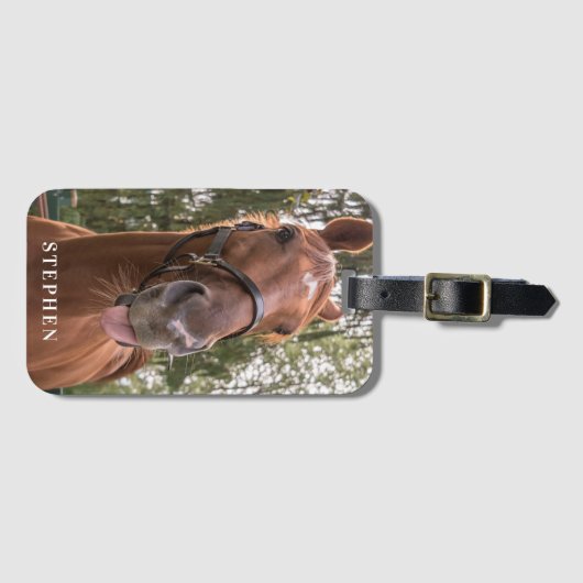 Niedliches Sonnenpferd Gepäckanhänger (Vorderseite (Horizontal))