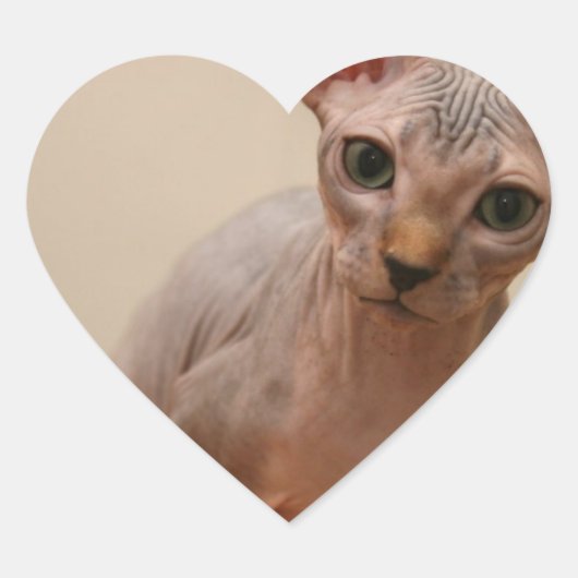 Niedliches Sphynx-Kätzchen "Ich bin furless, oder? Herz-Aufkleber (Vorderseite)