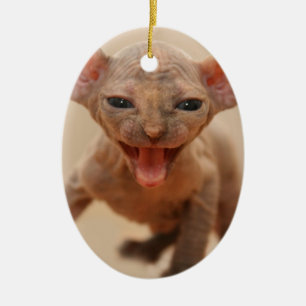Niedliches sphynx Kätzchen mit der Zunge heraus Keramik Ornament