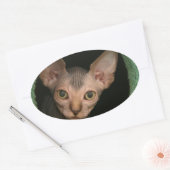 Niedliches Sphynxkitt Ovaler Aufkleber (Umschlag)