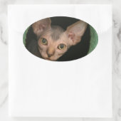 Niedliches Sphynxkitt Ovaler Aufkleber (Tasche)