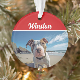 Niedliches Staffordshire Dog Holiday Weihnachts-Fo Ornament