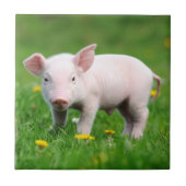 Niedliches Stall-Rosa-Ferkel Fliese (Vorderseite)