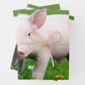 Niedliches Stall-Rosa-Ferkel Geschenkpapier Set (Beispiel)