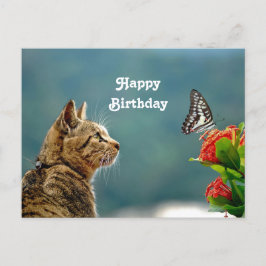Niedliches Tabby Cat Butterfly Foto Geburtstag Postkarte