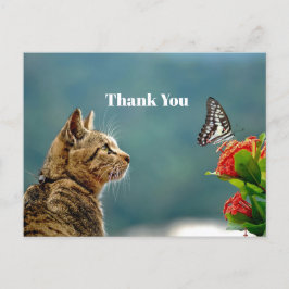Niedliches Tabby Cat Butterfly Foto Vielen Dank Postkarte