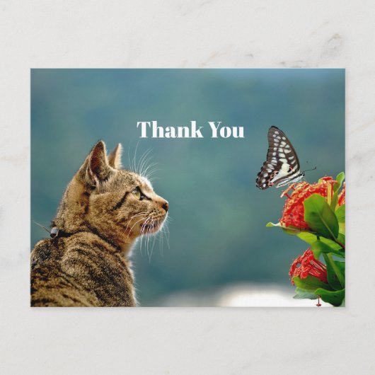 Niedliches Tabby Cat Butterfly Foto Vielen Dank Postkarte (Vorderseite)