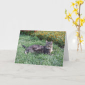Niedliches Tabby Cat Foto Karte (Gelbe Blume)