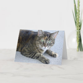 Niedliches Tabby Cat Foto Karte