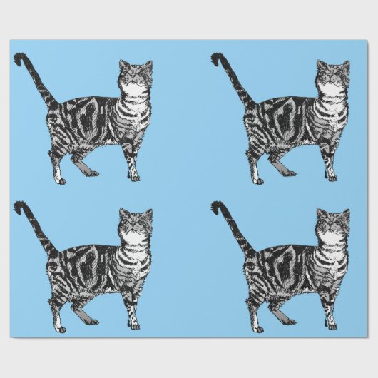 Niedliches Tabby Cat Pastel Blauer Teatro Sociale  Geschenkpapier (Flach)