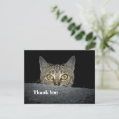 Niedliches Tabby Cat Peeking Foto Vielen Dank Postkarte (Stehend Vorderseite)