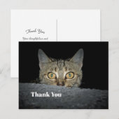 Niedliches Tabby Cat Peeking Foto Vielen Dank Postkarte (Vorne/Hinten)