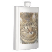 Niedliches Tabby mit Blick auf die Stift Flachmann (Rechts)