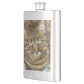 Niedliches Tabby mit Blick auf die Stift Flachmann (Links)