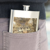 Niedliches Tabby mit Blick auf die Stift Flachmann (Beispiel)