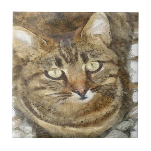 Niedliches Tabby mit Blick auf die Stift Fliese (Vorderseite)