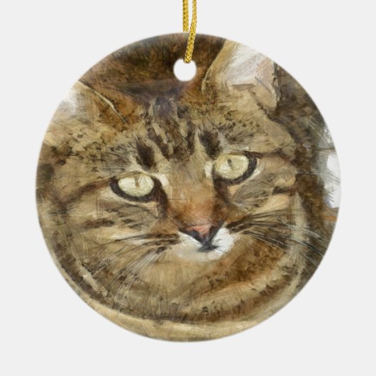 Niedliches Tabby mit Blick auf die Stift Keramikornament (Vorne)