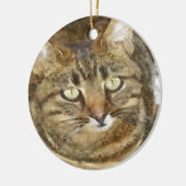 Niedliches Tabby mit Blick auf die Stift Keramikornament (Links)