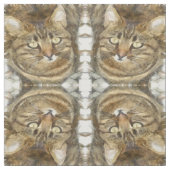 Niedliches Tabby mit Blick auf die Stift Stoff (Muster)