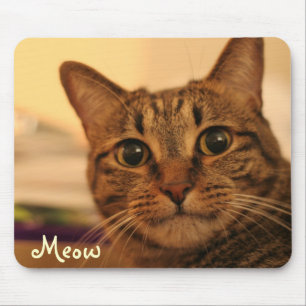 Niedliches Tabbykatzen-Gesicht mousepad