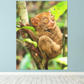 Niedliches Tarsier-Affenwild Leinwanddruck (Insitu (Holzboden))