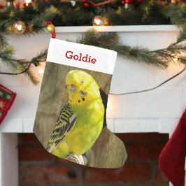 Niedliches Tier-Bird-Foto und Name Personalisiert Kleiner Weihnachtsstrumpf