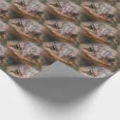 Niedliches Toad Face Animal Muster Geschenkpapier (Ecke)
